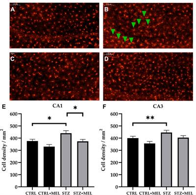 Melatonin improves cognitive dysfunction and decreases gliosis in the streptozotocin-induced rat model of sporadic Alzheimer’s disease